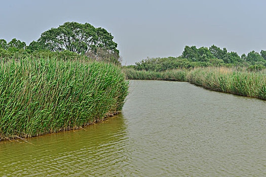 黄河口生态旅游区景色