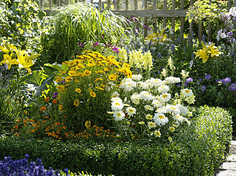 黄色,白色,床,别墅花园