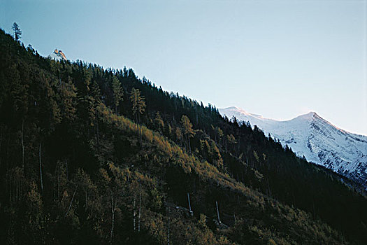 山坡,山景