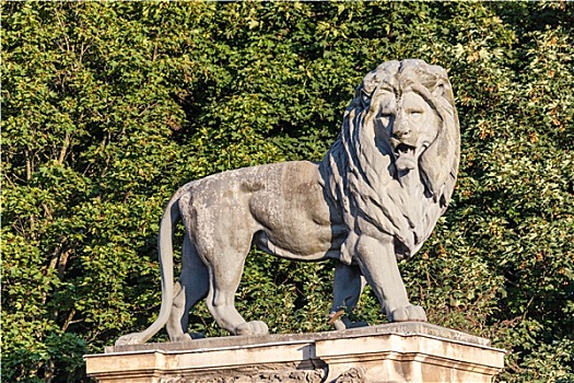 狮子,雕塑,布鲁塞尔
