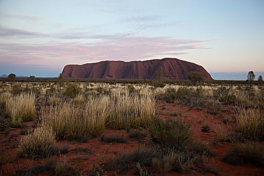 乌卢鲁巨石,艾尔斯岩,黎明,高,上升,高处,海平面,北领地州,中心,澳大利亚