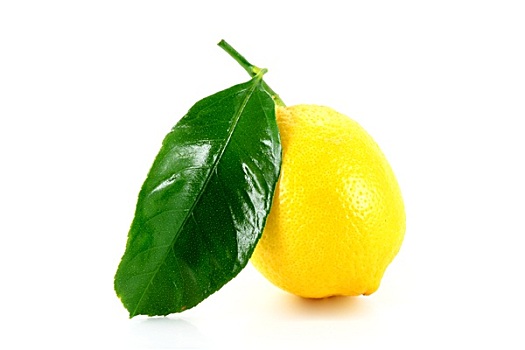 柠檬,绿叶
