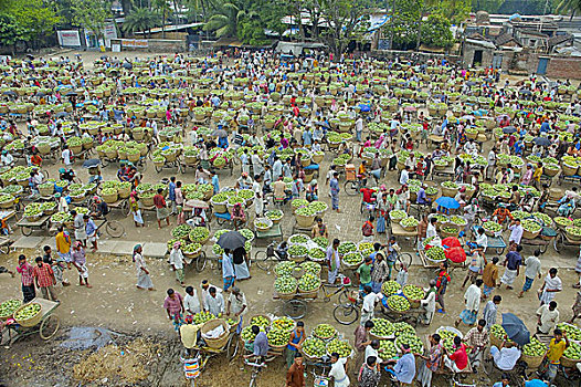 市场,批发,芒果,孟加拉,六月,2007年