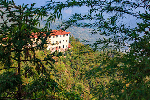 海曙,慕天山庄,宁波四明山,四明山,森林,生态,农家乐,天空,山