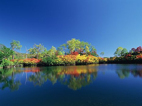 温泉,秋叶