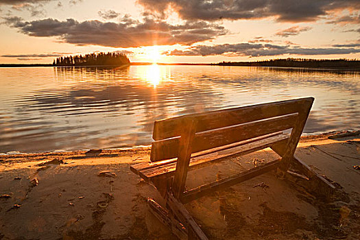 长椅,远眺,湖,麋鹿,岛屿,国家公园,艾伯塔省,加拿大
