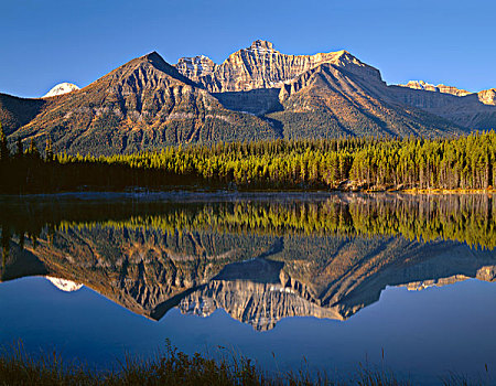 加拿大,艾伯塔省,班芙国家公园,早晨,开灯,山脉,赫伯特湖,大幅,尺寸