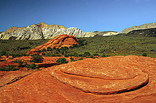 石化,沙丘,雪谷州立公园,犹他,美国