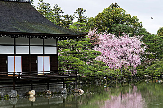 花园,平安神宫,京都,日本,相似,富士山