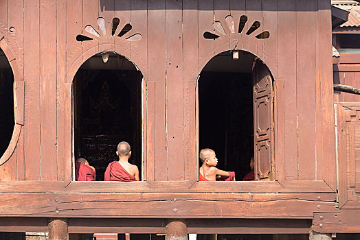 孩子,新信徒,僧侣,寺院,茵莱湖,缅甸,亚洲