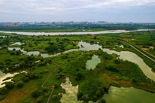 渭河湿地