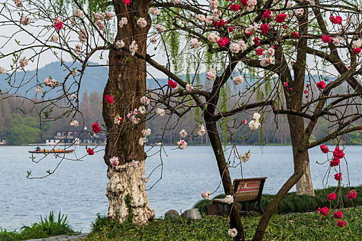 杭州西湖春季风光