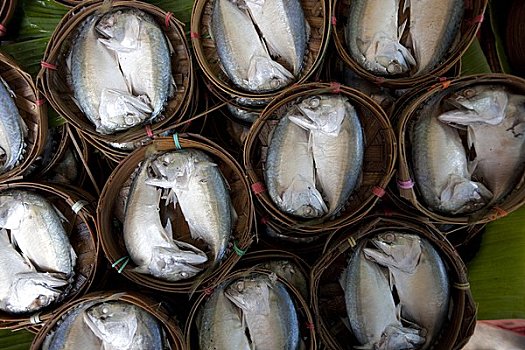曼谷,泰国,鱼肉,出售,市场