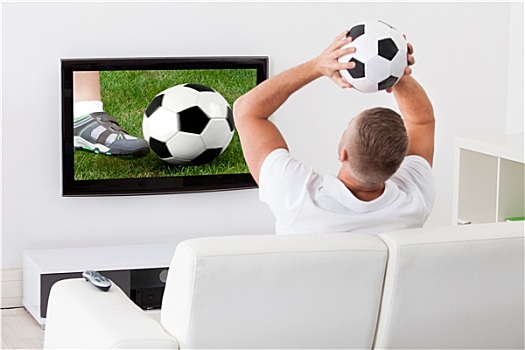 足球,球迷,看,比赛,电视,拿着