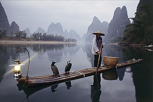 鸬鹚,捕鱼者,漓江,中国
