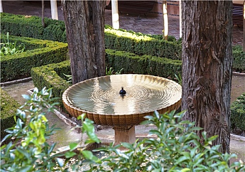 阿尔罕布拉,喷泉,花园,格拉纳达,安达卢西亚,西班牙