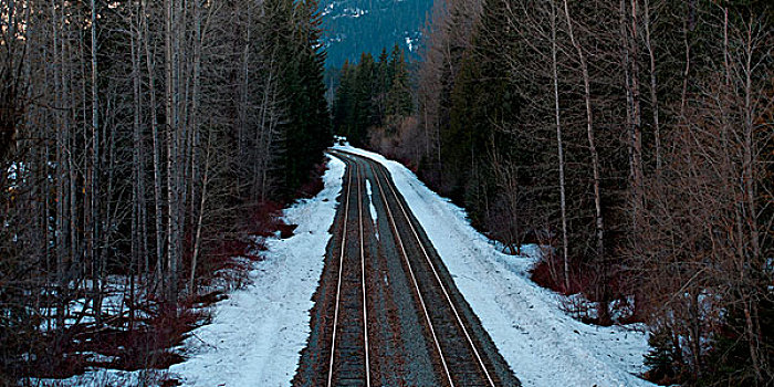 轨道,通过,树林,冬天,惠斯勒,不列颠哥伦比亚省,加拿大