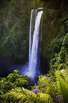 瀑布,乌波卢岛,萨摩亚群岛