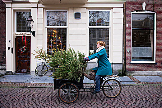 女人,圣诞树,三轮车