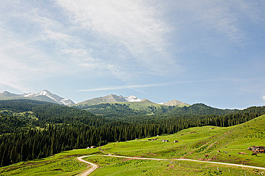 新疆天山伊犁草原牧场