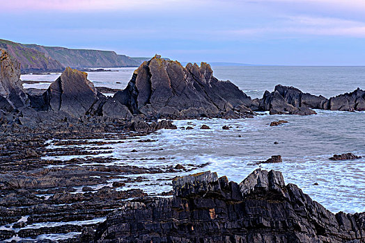 岩石海岸,黄昏,靠近,码头,德文郡,英格兰,英国