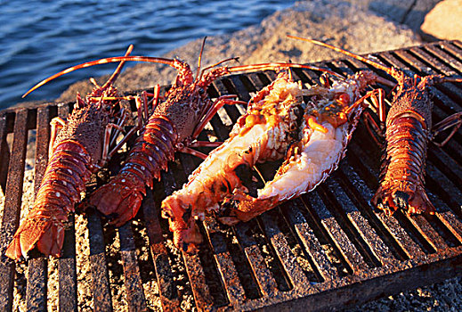 烤制食品,龙虾,烧烤,海洋