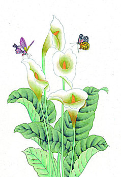 國畫花鳥山水人物動物
