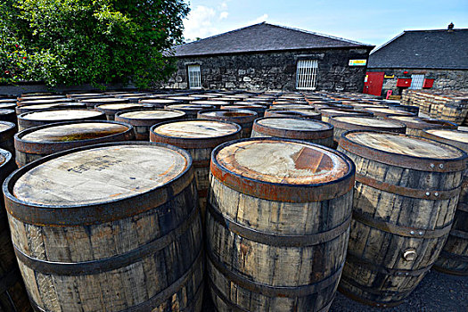 威士忌,北美,等待,苏格兰威士忌,一个,麦芽,威士忌酒,酿酒厂,北方,高地,苏格兰,英国,欧洲