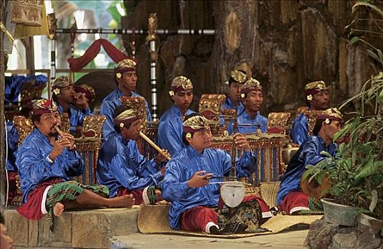 音乐人,管弦乐,民俗,传统舞蹈,亚洲