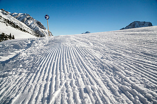 雪,滑雪,滑雪道,高山滑雪