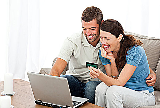 幸福伴侣,看,财务,上网,坐,沙发,在家