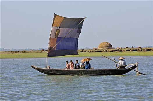 缅甸,河,传统,帆船,牛,干草堆,稻草,地点,河岸