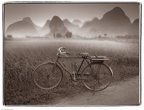自行车,地点,雾,黎明,靠近,桂林,广西,中国