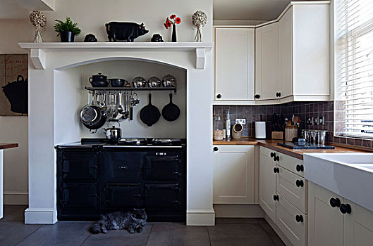 猫,正面,现代,乡村风格,厨房,连栋别墅,柴郡,英格兰,英国