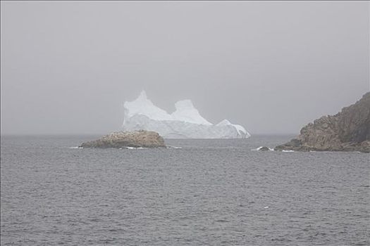 冰山,靠近,特威林盖特岛,纽芬兰,加拿大