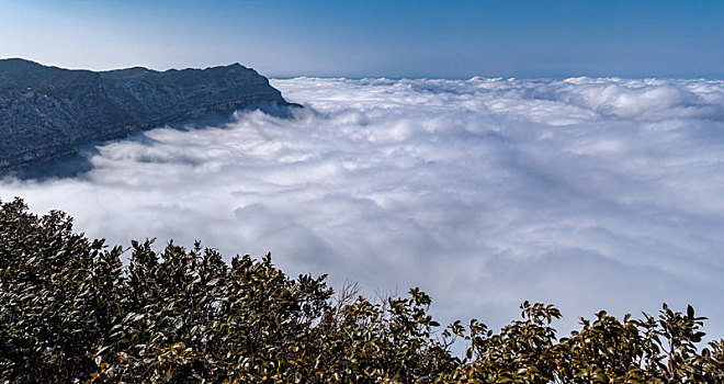 重庆南川,金佛山,看,海