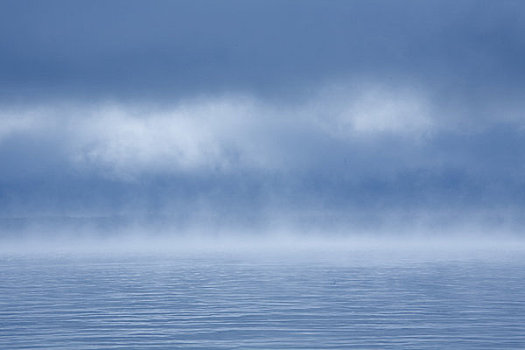 雾状,早晨,长,湖,那不勒斯,缅因