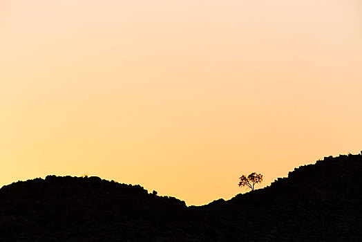 树,山,地平线,塞斯瑞姆,纳米比亚,非洲