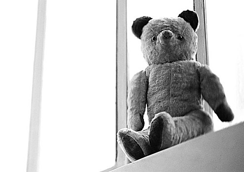 泰迪熊,仰视