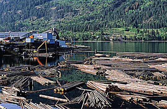 亚当斯湖,木材,锯木厂,不列颠哥伦比亚省,加拿大