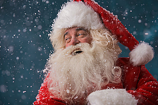 高兴,圣诞老人,笑,站立,户外,北极
