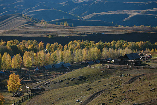新疆山丘