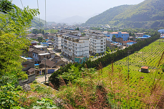 俯瞰,全景,村庄