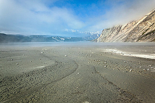 石头,泥地,小湾,冰河湾国家公园,保存,东南阿拉斯加,夏天
