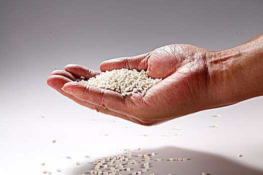 大米糯米,手掌,粮食