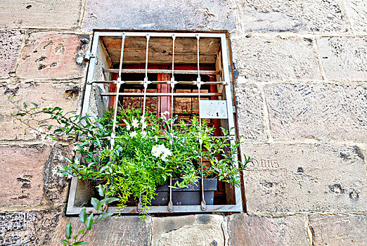 建筑外观,窗户,绿色植物,库姆巴赫,上弗兰科尼亚,巴伐利亚,德国,欧洲