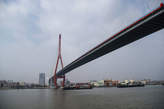 杨浦大桥,桥梁工程,上海滨江
