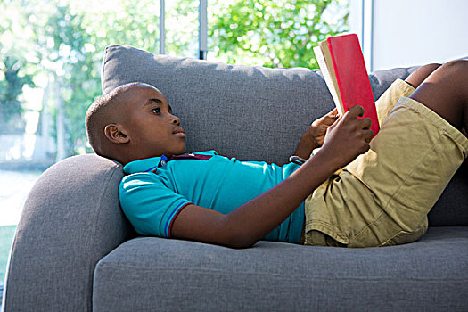 侧面视角,男孩,卧,读,小说,沙发,在家,客厅