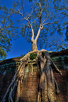 柬埔寨吴哥王朝塔普伦寺神庙