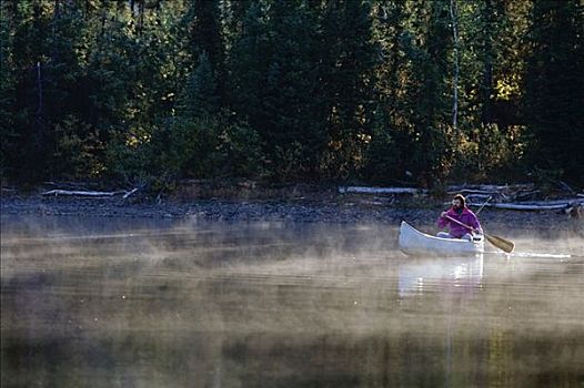 独木舟浆手,湖,大门,北极圈,国家公园,阿拉斯加